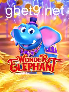 WonderElephant